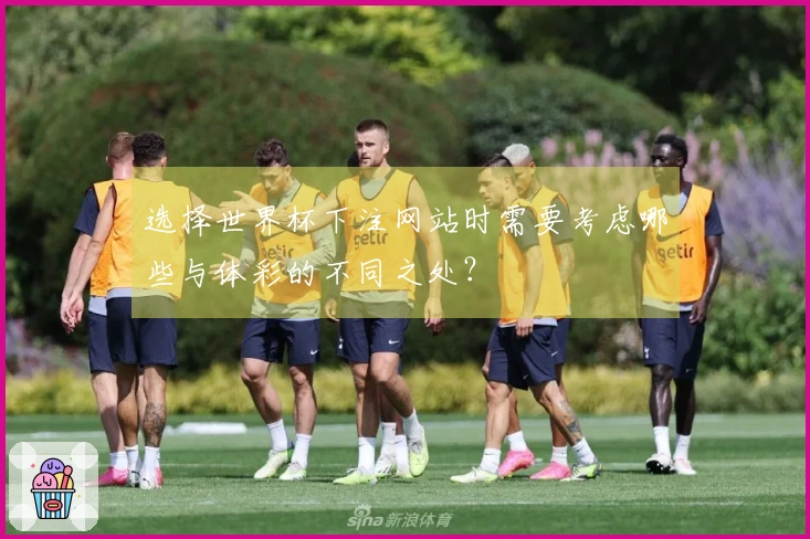 选择世界杯下注网站时需要考虑哪些与体彩的不同之处？